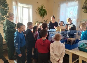 Усолье-Сибирское|251119