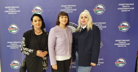 Новосибирская область|251211