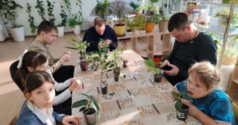 Хабаровский край|260108