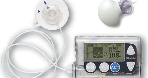 Алтайский край/251226