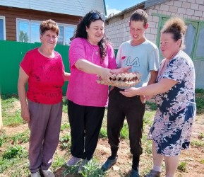 Каракулинский район | 250810