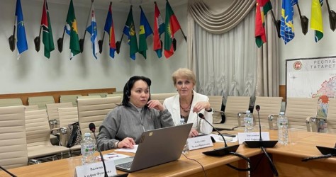 Республика Татарстан|251208