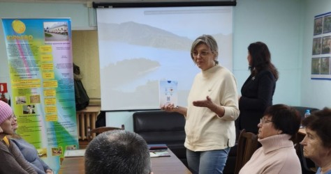 Новгородская область|260206