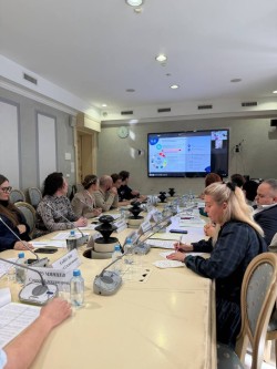 ВОРДИ освещает проблемы с госпитализацией родителей детей-инвалидов в Общественном совете при Уполномоченном при Президенте РФ по правам ребенка