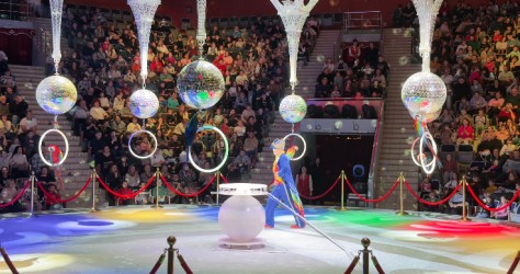 Курская область|251221